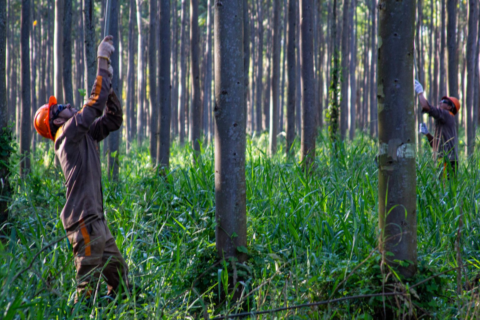 Equipos y tecnología aplicada