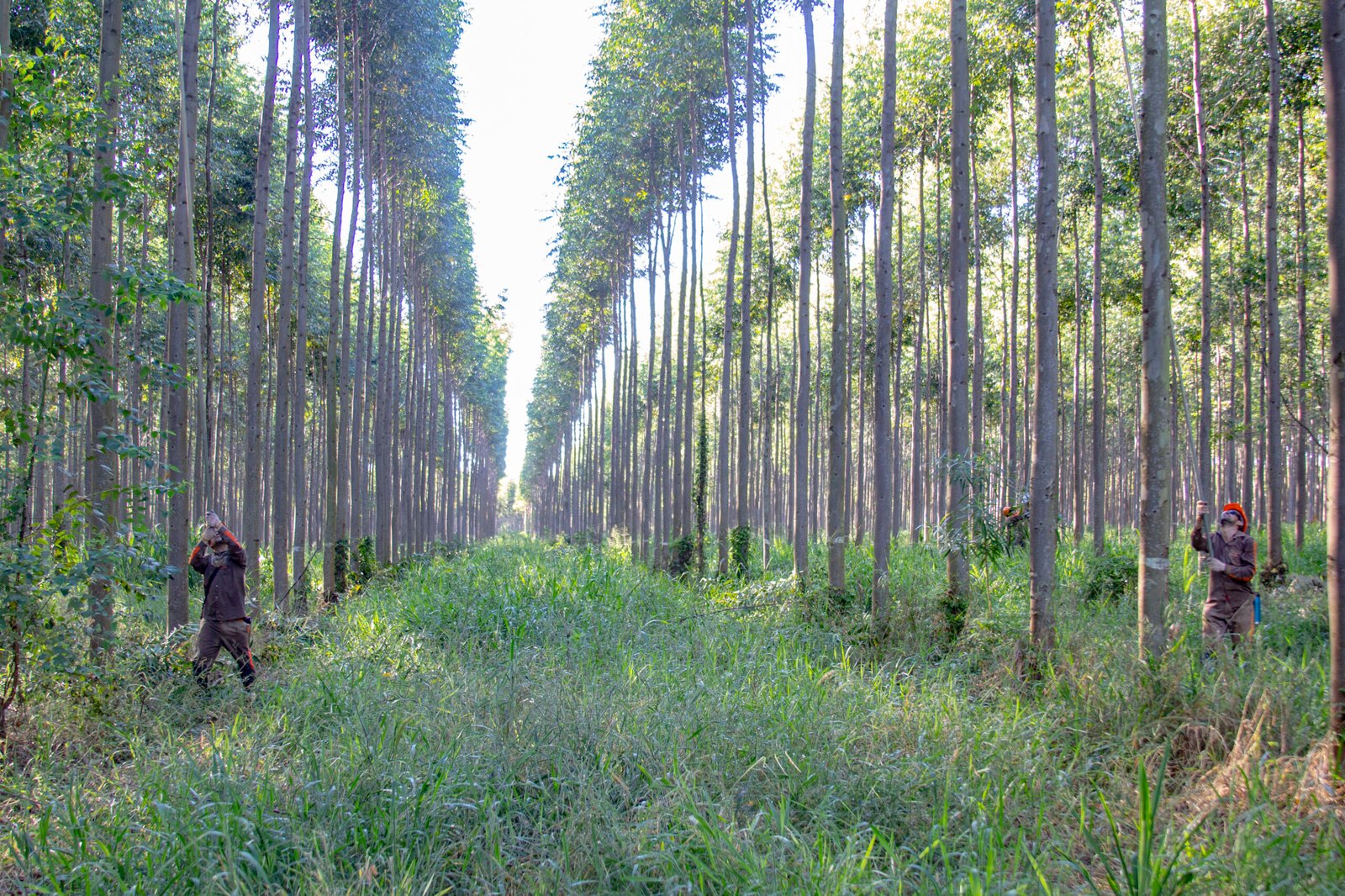Equipo técnico de INAFO SRL en campo
